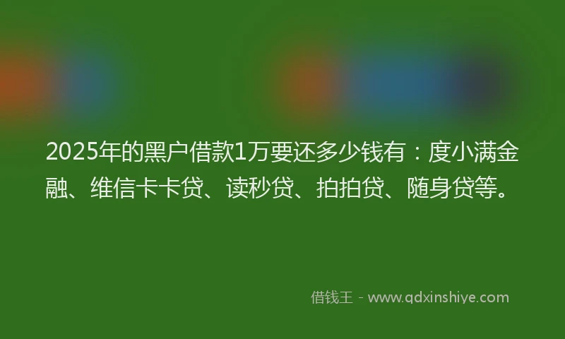 2025年的黑户借款1万要还多少钱有：度小满金融、维信卡卡贷、读秒贷、拍拍贷、随身贷等。