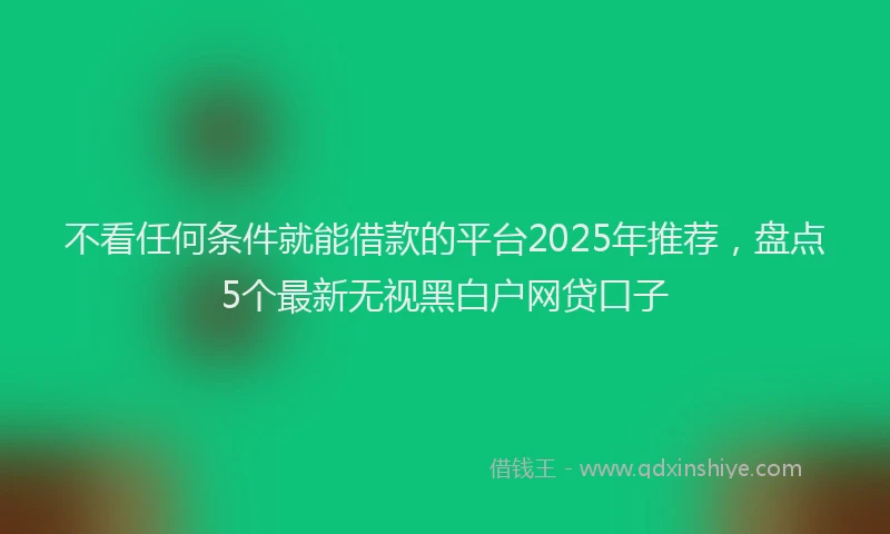 不看任何条件就能借款的平台2025年推荐，盘点5个最新无视黑白户网贷口子