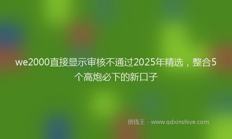 we2000直接显示审核不通过2025年精选，整合5个高炮必下的新口子
