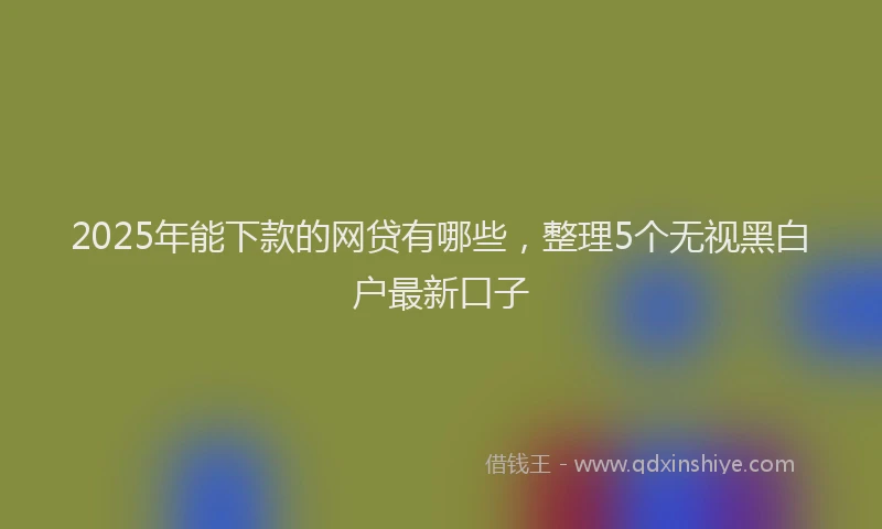2025年能下款的网贷有哪些，整理5个无视黑白户最新口子