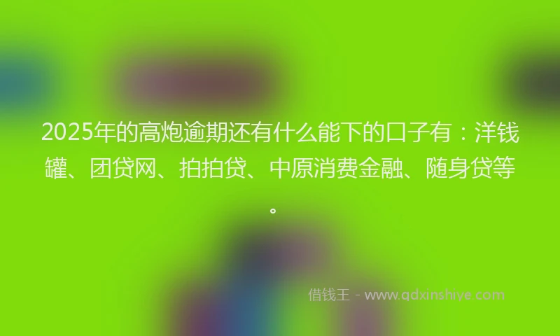 2025年的高炮逾期还有什么能下的口子有:洋钱罐、团贷网、拍拍贷、中原消费金融、随身贷等。