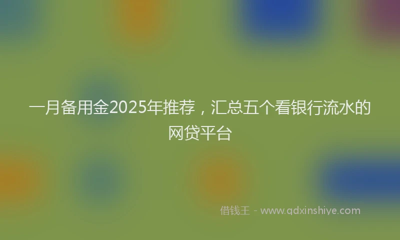 一月备用金2025年推荐，汇总五个看银行流水的网贷平台