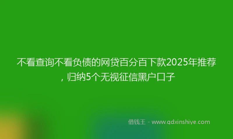 不看查询不看负债的网贷百分百下款2025年推荐，归纳5个无视征信黑户口子