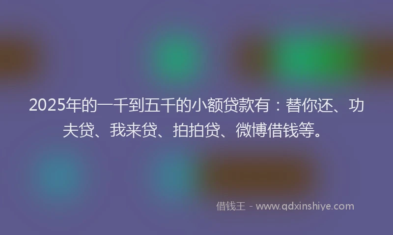 2025年的一千到五千的小额贷款有：替你还、功夫贷、我来贷、拍拍贷、微博借钱等。