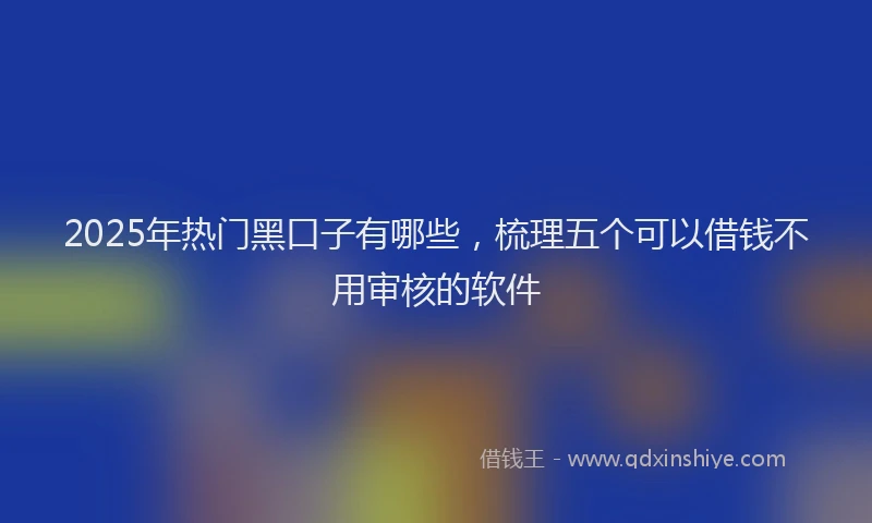 2025年热门黑口子有哪些，梳理五个可以借钱不用审核的软件
