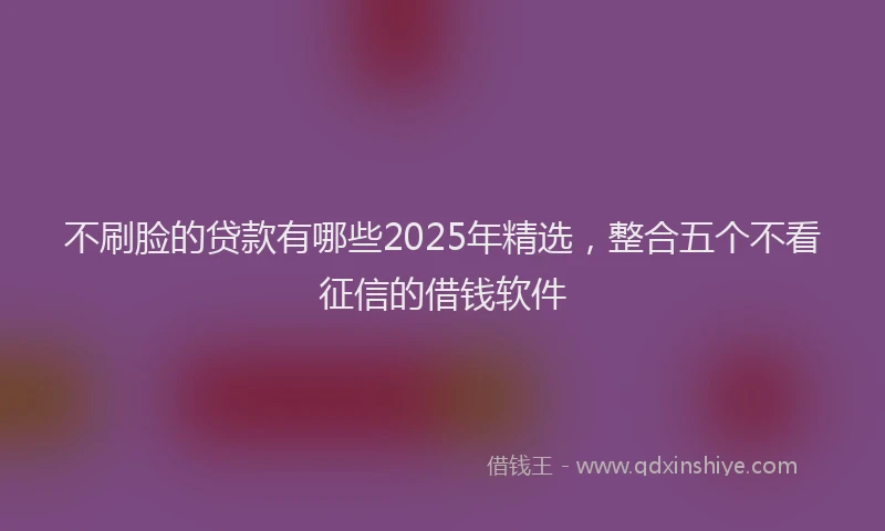 不刷脸的贷款有哪些2025年精选，整合五个不看征信的借钱软件