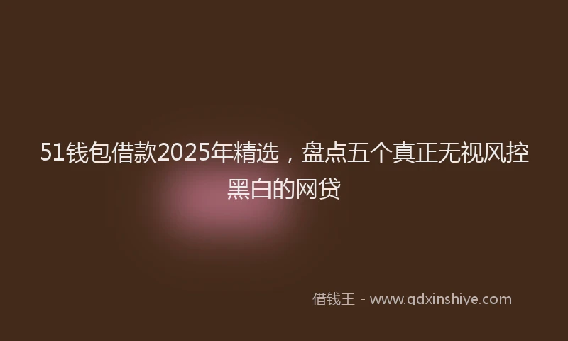 51钱包借款2025年精选，盘点五个真正无视风控黑白的网贷