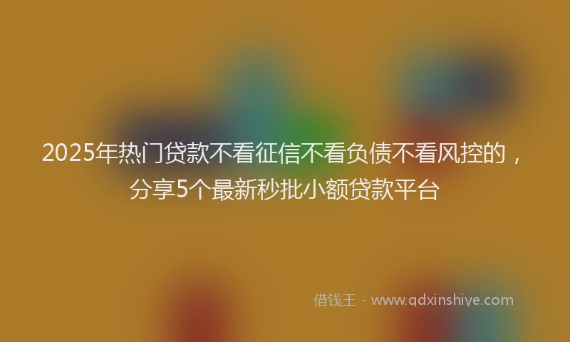 2025年热门贷款不看征信不看负债不看风控的，分享5个最新秒批小额贷款平台
