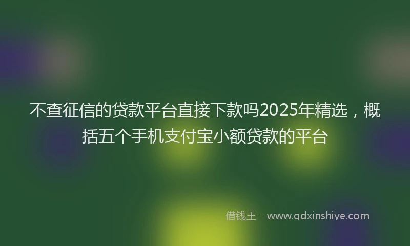 不查征信的贷款平台直接下款吗2025年精选，概括五个手机支付宝小额贷款的平台