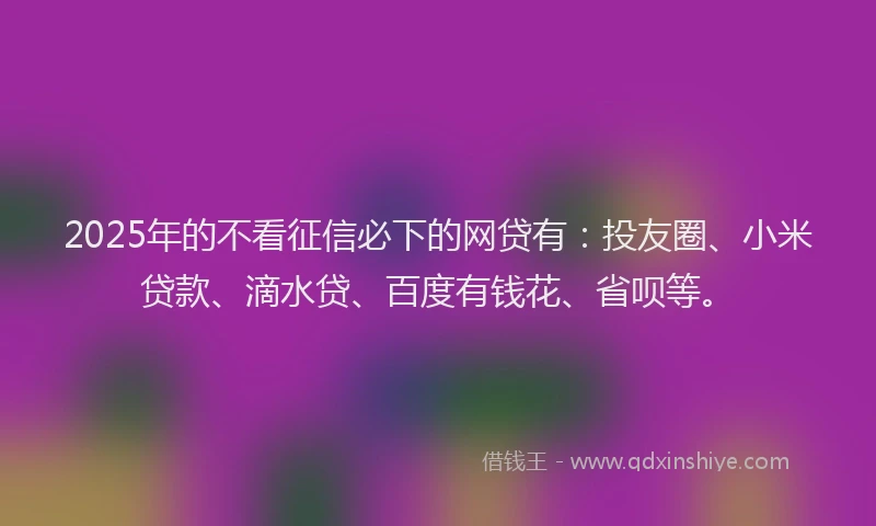 2025年的不看征信必下的网贷有：投友圈、小米贷款、滴水贷、百度有钱花、省呗等。