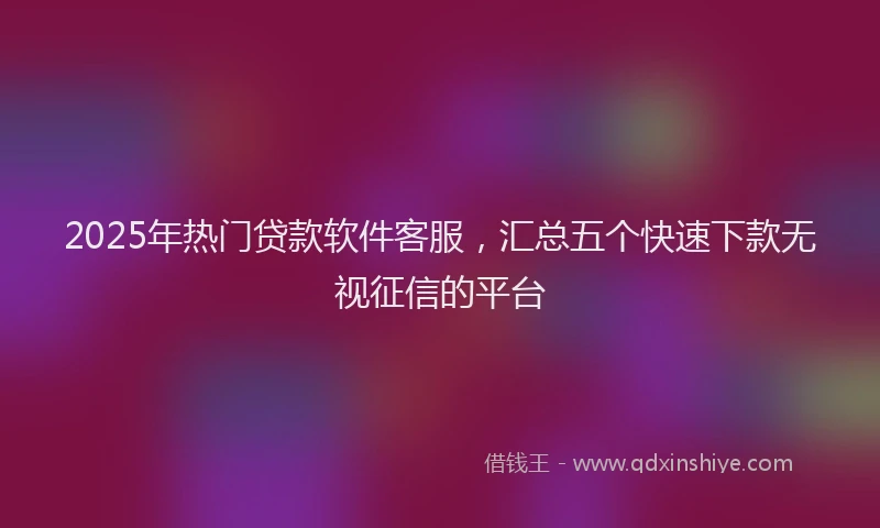2025年热门贷款软件客服，汇总五个快速下款无视征信的平台