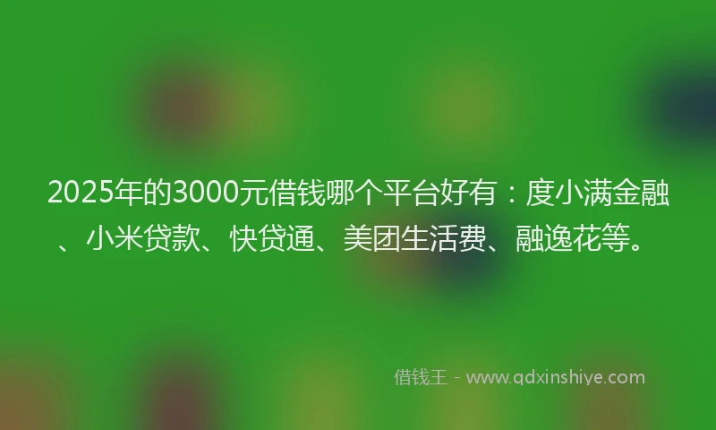 2025年的3000元借钱哪个平台好有：度小满金融、小米贷款、快贷通、美团生活费、融逸花等。