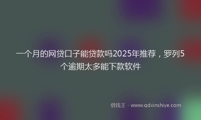 一个月的网贷口子能贷款吗2025年推荐，罗列5个逾期太多能下款软件