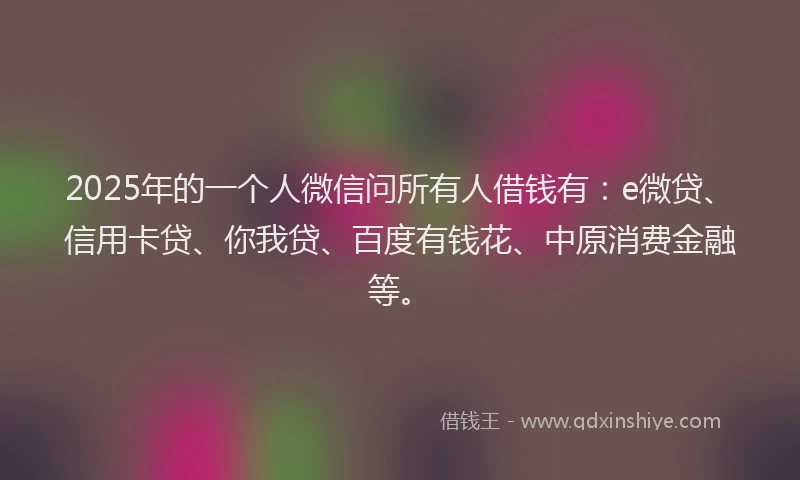 2025年的一个人微信问所有人借钱有：e微贷、信用卡贷、你我贷、百度有钱花、中原消费金融等。