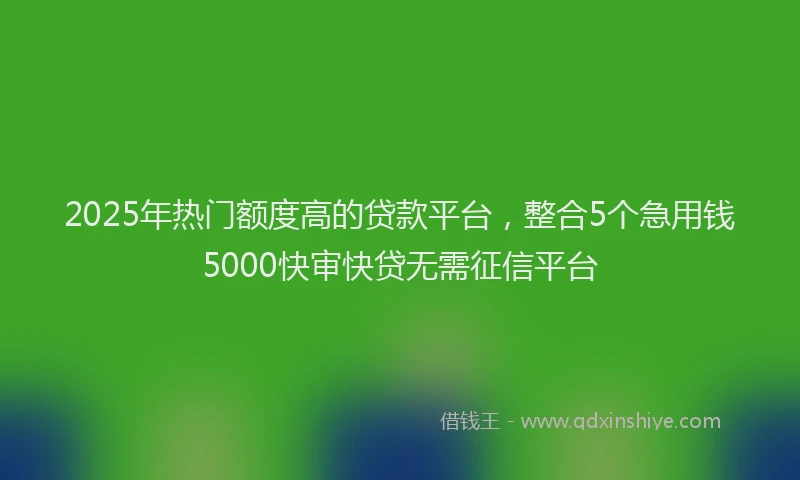 2025年热门额度高的贷款平台，整合5个急用钱5000快审快贷无需征信平台