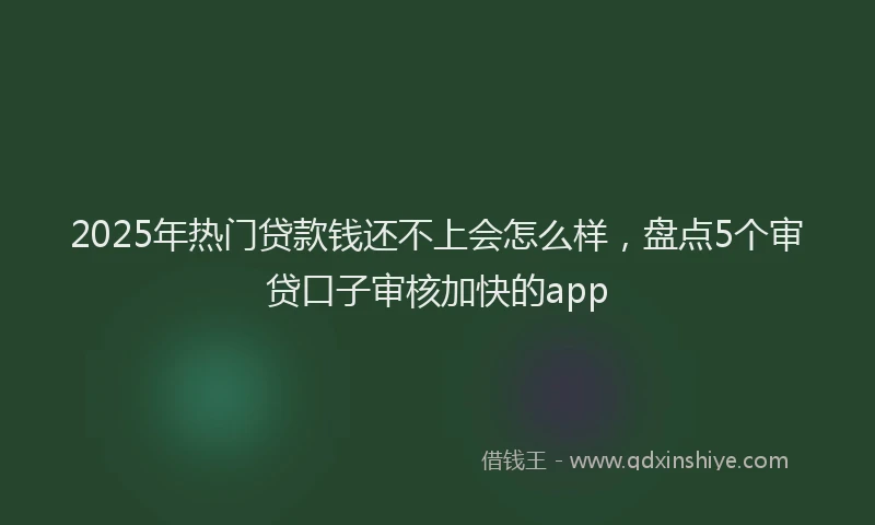 2025年热门贷款钱还不上会怎么样，盘点5个审贷口子审核加快的app