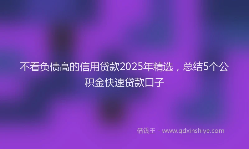 不看负债高的信用贷款2025年精选，总结5个公积金快速贷款口子