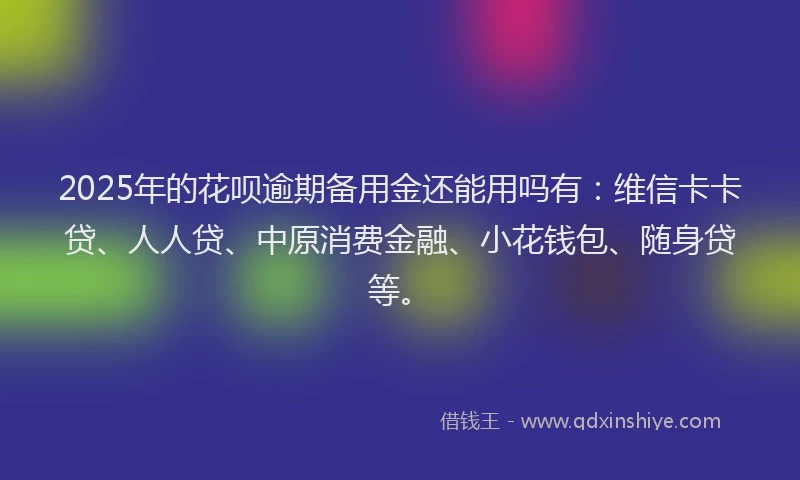 2025年的花呗逾期备用金还能用吗有：维信卡卡贷、人人贷、中原消费金融、小花钱包、随身贷等。
