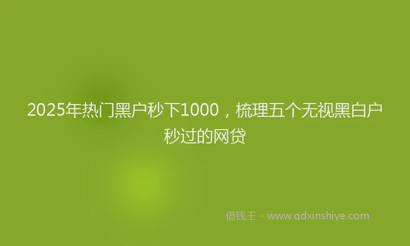 2025年热门黑户秒下1000，梳理五个无视黑白户秒过的网贷