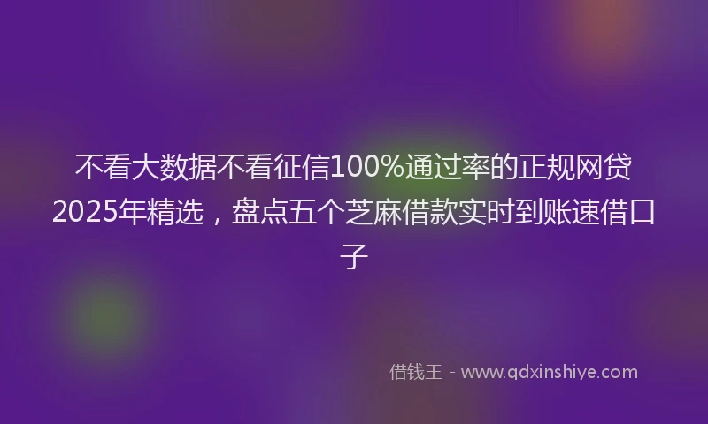 不看大数据不看征信100%通过率的正规网贷2025年精选，盘点五个芝麻借款实时到账速借口子
