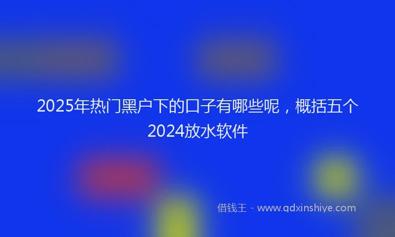 2025年热门黑户下的口子有哪些呢，概括五个2024放水软件