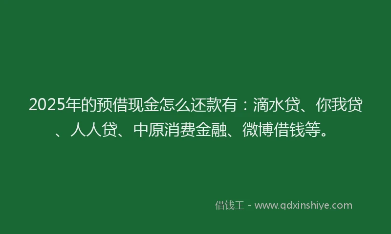 2025年的预借现金怎么还款有：滴水贷、你我贷、人人贷、中原消费金融、微博借钱等。