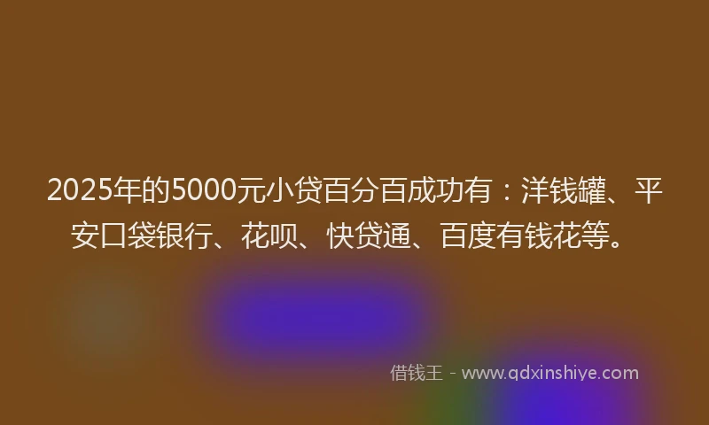 2025年的5000元小贷百分百成功有：洋钱罐、平安口袋银行、花呗、快贷通、百度有钱花等。
