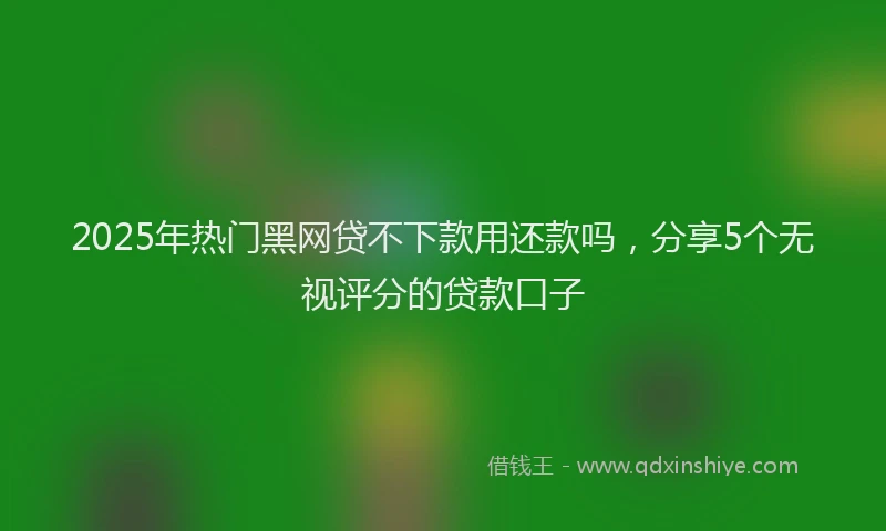 2025年热门黑网贷不下款用还款吗，分享5个无视评分的贷款口子