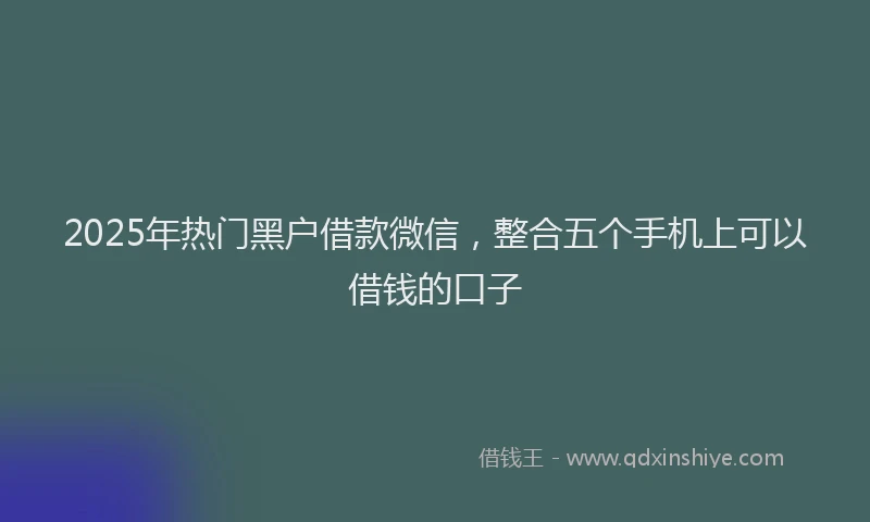 2025年热门黑户借款微信，整合五个手机上可以借钱的口子
