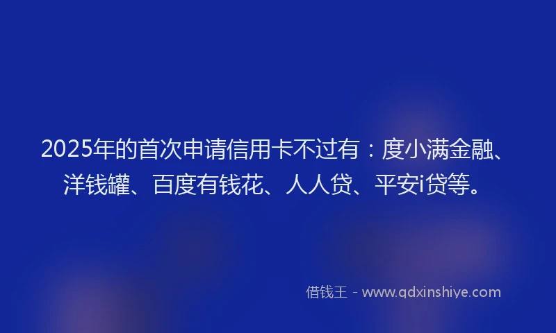 2025年的首次申请信用卡不过有：度小满金融、洋钱罐、百度有钱花、人人贷、平安i贷等。