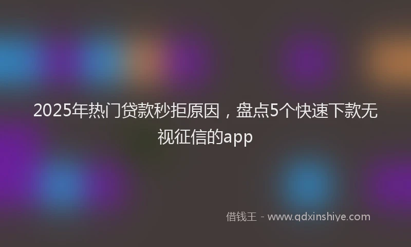 2025年热门贷款秒拒原因，盘点5个快速下款无视征信的app