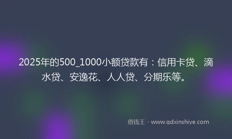 2025年的500_1000小额贷款有：信用卡贷、滴水贷、安逸花、人人贷、分期乐等。