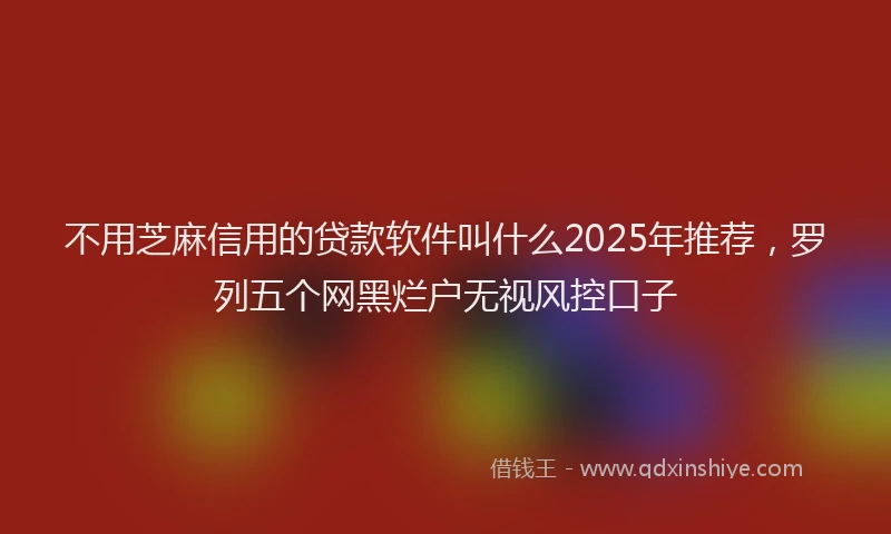 不用芝麻信用的贷款软件叫什么2025年推荐，罗列五个网黑烂户无视风控口子