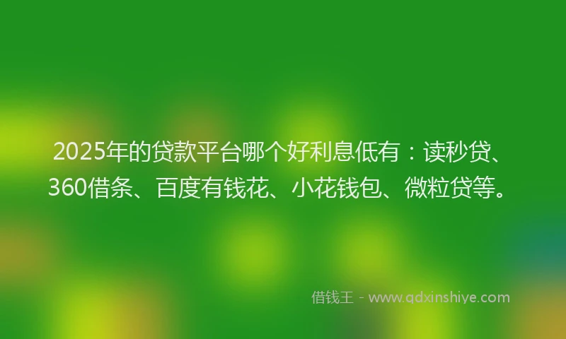 2025年的贷款平台哪个好利息低有：读秒贷、360借条、百度有钱花、小花钱包、微粒贷等。