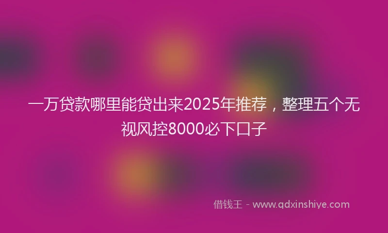 一万贷款哪里能贷出来2025年推荐，整理五个无视风控8000必下口子