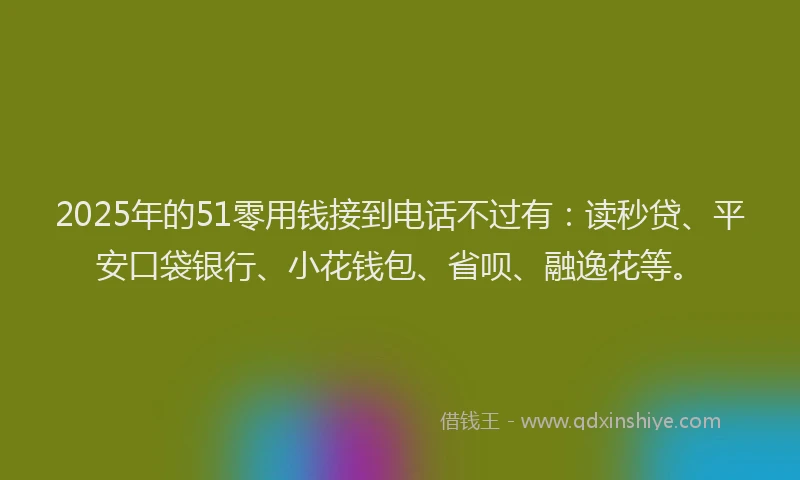 2025年的51零用钱接到电话不过有：读秒贷、平安口袋银行、小花钱包、省呗、融逸花等。