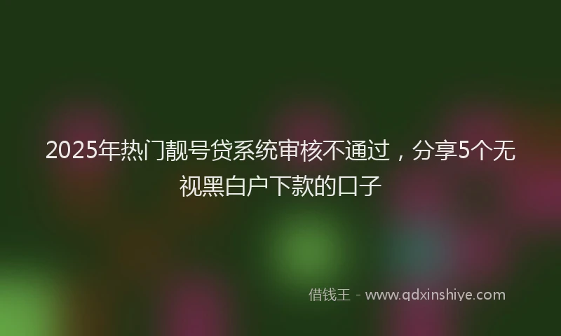2025年热门靓号贷系统审核不通过，分享5个无视黑白户下款的口子
