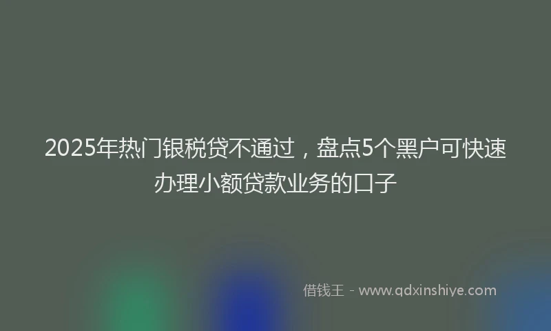 2025年热门银税贷不通过，盘点5个黑户可快速办理小额贷款业务的口子