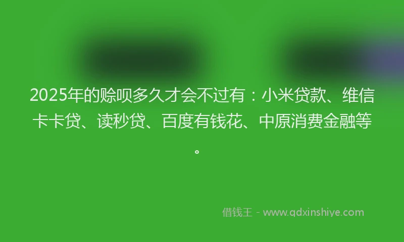 2025年的赊呗多久才会不过有：小米贷款、维信卡卡贷、读秒贷、百度有钱花、中原消费金融等。