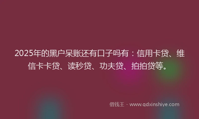 2025年的黑户呆账还有口子吗有：信用卡贷、维信卡卡贷、读秒贷、功夫贷、拍拍贷等。