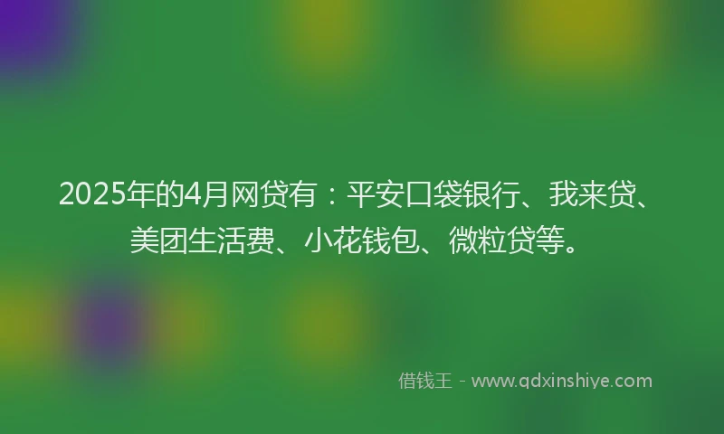 2025年的4月网贷有：平安口袋银行、我来贷、美团生活费、小花钱包、微粒贷等。