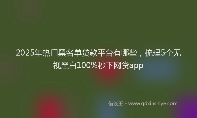 2025年热门黑名单贷款平台有哪些，梳理5个无视黑白100%秒下网贷app