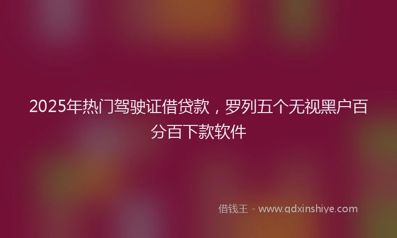 2025年热门驾驶证借贷款，罗列五个无视黑户百分百下款软件