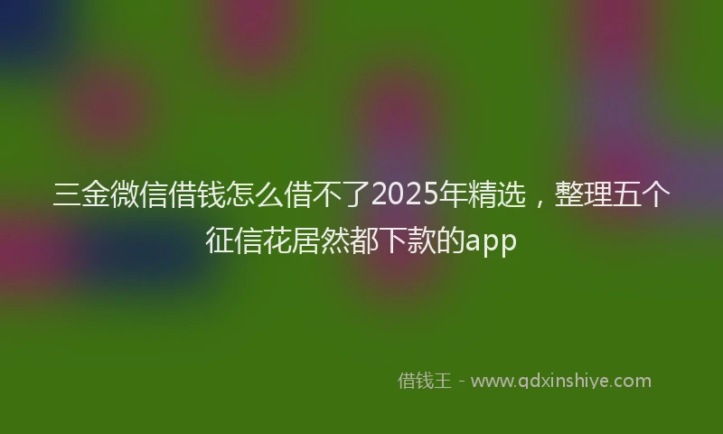 三金微信借钱怎么借不了2025年精选，整理五个征信花居然都下款的app