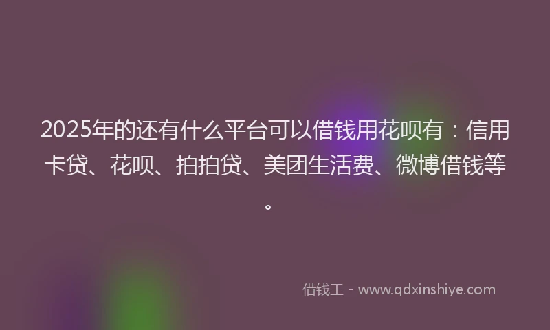 2025年的还有什么平台可以借钱用花呗有：信用卡贷、花呗、拍拍贷、美团生活费、微博借钱等。
