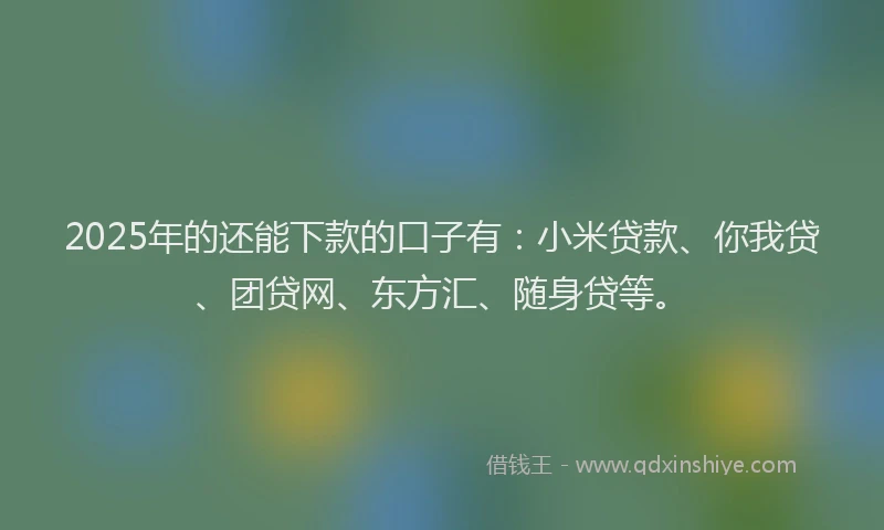 2025年的还能下款的口子有：小米贷款、你我贷、团贷网、东方汇、随身贷等。