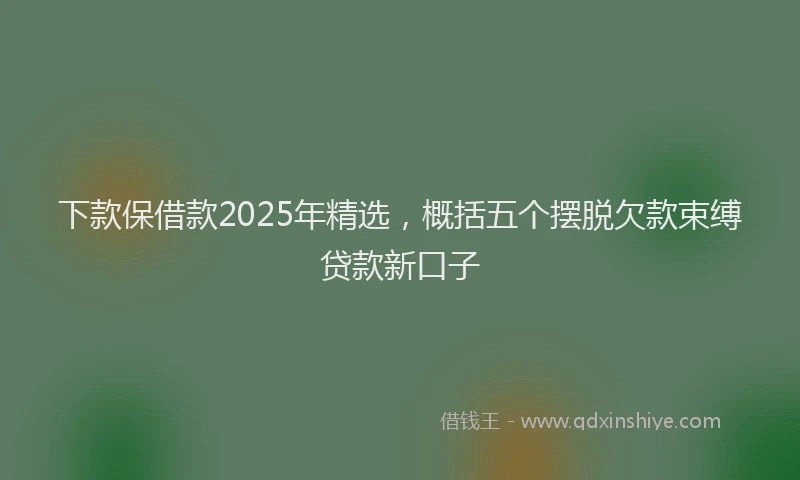 下款保借款2025年精选，概括五个摆脱欠款束缚贷款新口子