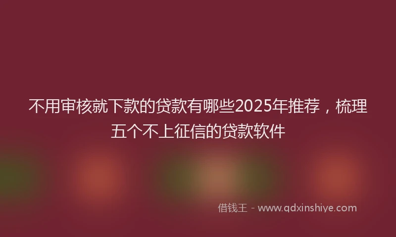 不用审核就下款的贷款有哪些2025年推荐，梳理五个不上征信的贷款软件