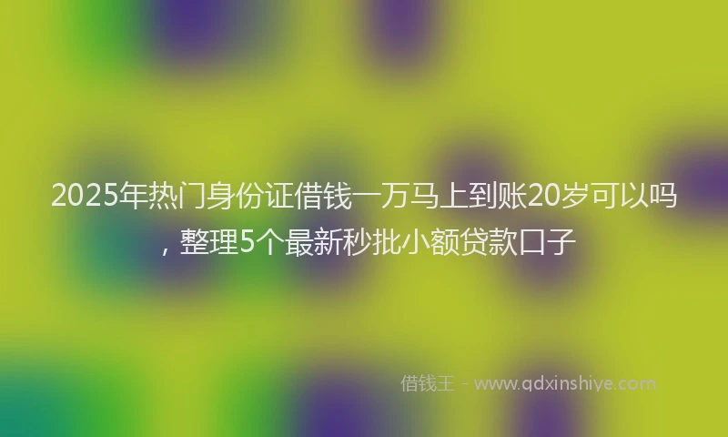 2025年热门身份证借钱一万马上到账20岁可以吗，整理5个最新秒批小额贷款口子