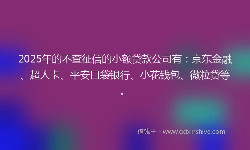 2025年的不查征信的小额贷款公司有：京东金融、超人卡、平安口袋银行、小花钱包、微粒贷等。